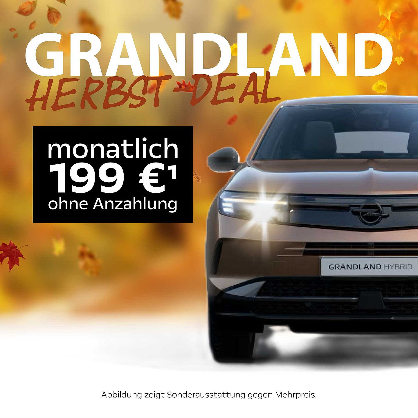 grandland_herbst_deal_banner_20002000